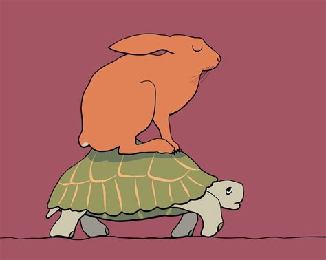 Image result for Tortoise Algorithm