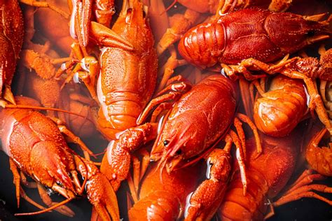 When Is Crawfish Season - Your Guide To The Best Time