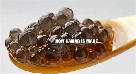 How Caviar is made: Everything you need to know.