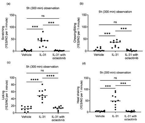Establishment of an Intradermal Canine IL-31-Induced Pruritus Model to ...
