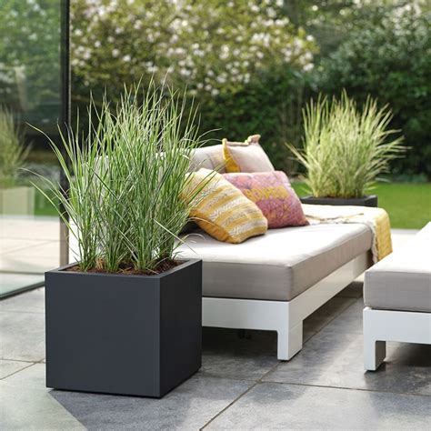 Buy Square planter with wheels - black: Delivery by Waitrose Garden