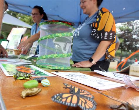 Photos: Monarchs and Music Crystal Lake – Shaw Local