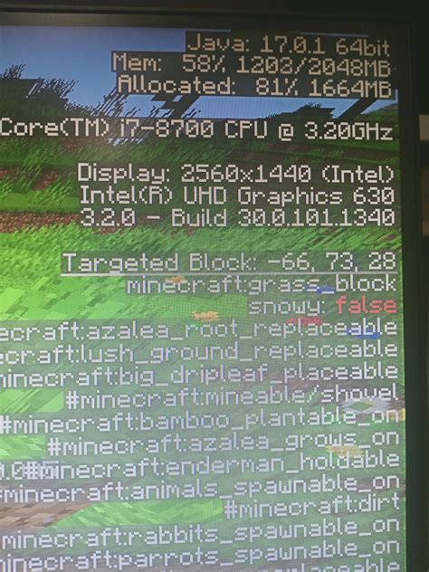 Why Is Minecraft Not Using My GPU 的图像结果