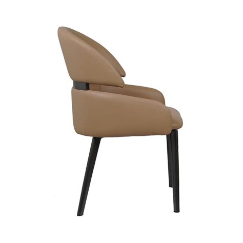 Buy Frost Premium Dining Chair for Restaurants and Home Green Color at ...