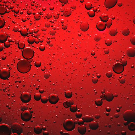 Long Term Effects of Iron Deficiency – YourHappy Life