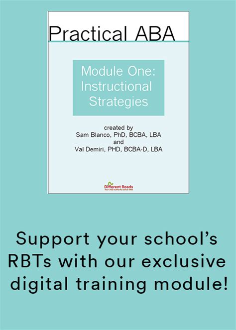 Image result for ABA Teaching Practical Examples Dyad