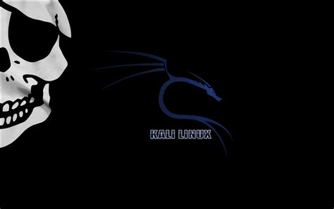 Image result for Kali Linux Material Background