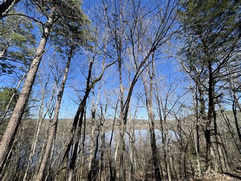 Hollis Trail 174, Arkansas - GPS Trail Map, Conditions & Difficulty ...