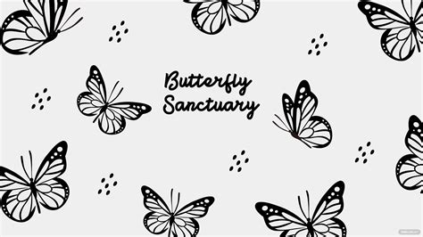 Black And White Butterfly Wallpapers - Wallpaper Cave