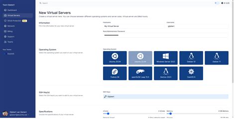 Image result for Virtual Server Configuration