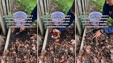 Image result for Simple Composting