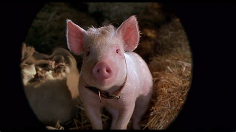 Babe: Pig in the City (1998) Screencap | Fancaps