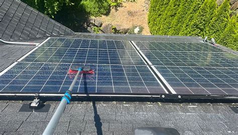 SOLAR DOS SALEMAS - BIBLIOTECA MUNICIPAL - All You Need to Know BEFORE ...