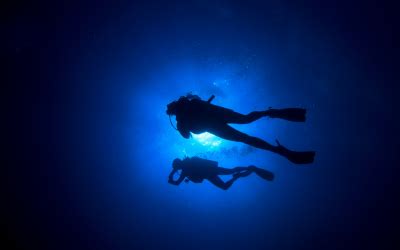 Learn to Dive in Paradise: PADI Dive Courses with Papua Diving