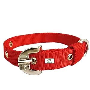 Buy JAPIN Neck Collar Belts for Dog Comfortable Everyday 1.25 inch ...