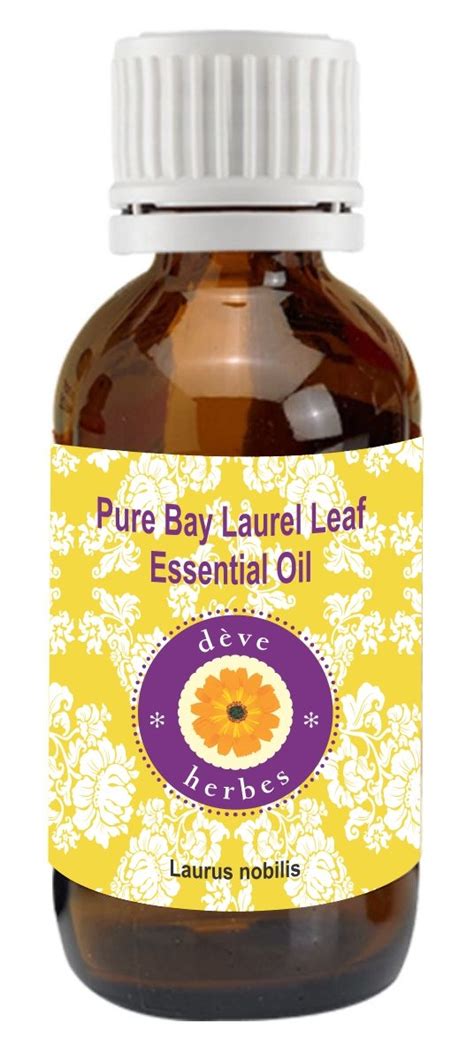 Buy Deve Herbes Pure Bay Laurel Leaf Essential Oil (Laurus nobilis ...