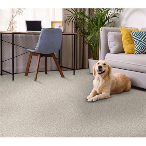 STAINMASTER PetProtect Carefree-Day Fossil Path Brown 43.9-oz sq yard ...