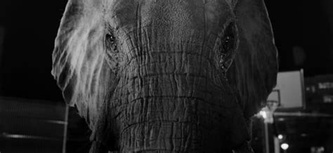 No-Trade No Killing 的图像结果