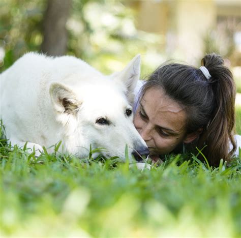 Animal Angels | India's Leading Animal Assisted Interventions Programe ...