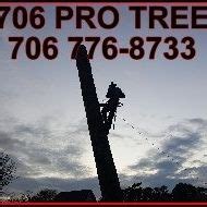 Image result for Alpharetta Tree Service