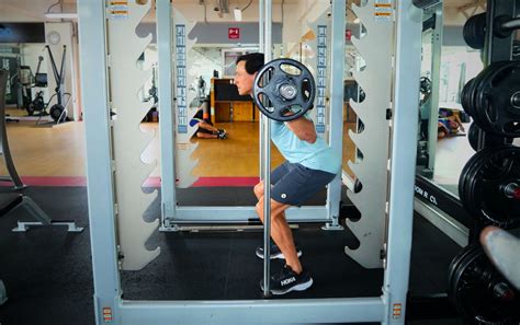 Smith Machine Exercises 的图像结果