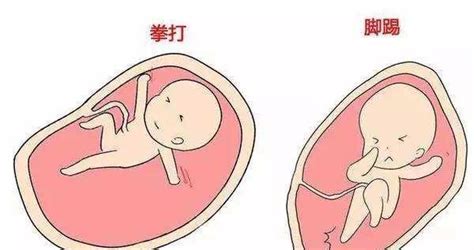 孕17周胎动的位置在下方正常码 - 百度宝宝知道