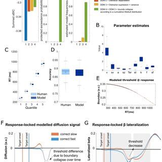 Drift-Diffusion Model 的图像结果