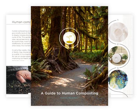 Image result for Human Corpse Composting