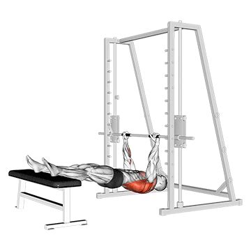 Inverted Row on Bench - Guide, Benefits, and Form