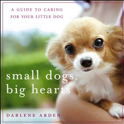 Small Dogs, Big Hearts: A Guide to Caring for Your Little Dog eBook ...