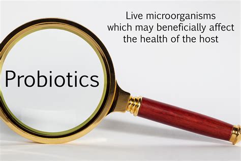 The Best Time to Take Probiotics: Maximizing Benefits for Gut Health – Sunbiotics