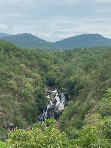 Top 17 things to do in Gudalur (Updated Jan 2025)