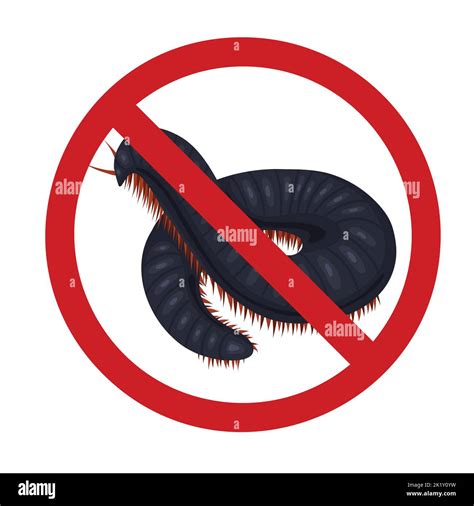 Centipede Bite On A Dog