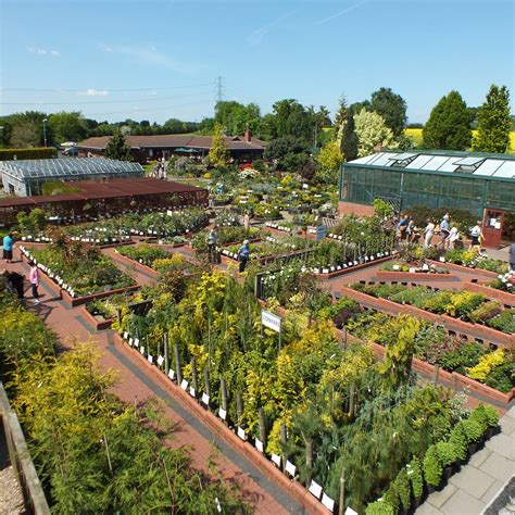 ASHWOOD NURSERIES - All You Need to Know BEFORE You Go 2026 (with ...