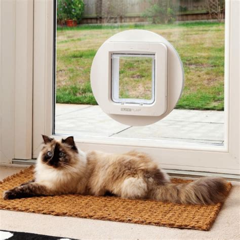 The Best Smart Dog Doors for 2025: Wi Fi & App Controlled