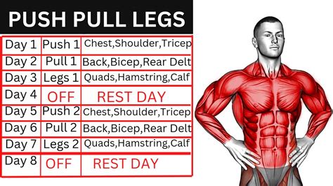 Push Pull Legs Workout Plan PPL, 56% OFF | www.pinnaxis.com