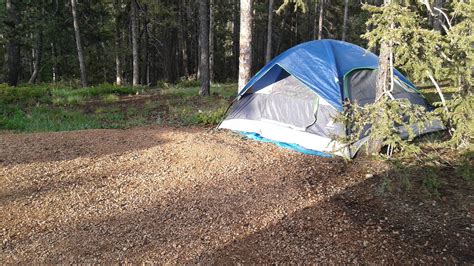 Mueller State Park Campground | Divide, Colorado