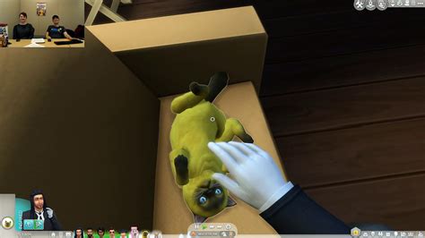 Image result for First Person View Sims 4