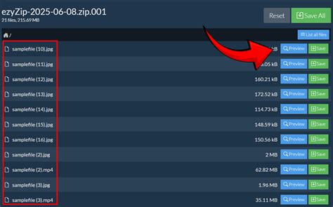 Image result for Open Z02 File