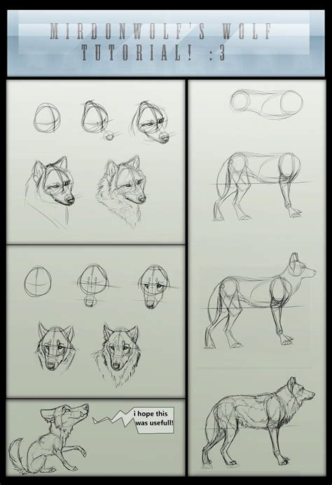 Image result for Wolf Tutorial