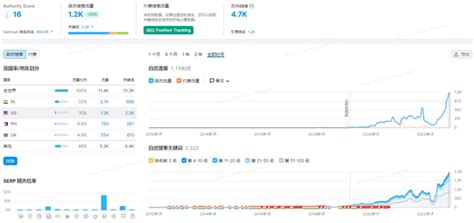 新站seo-新站优化-核心关键词15天排名百度首页-鲸落SEO