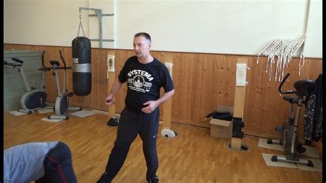 Systema 的图像结果