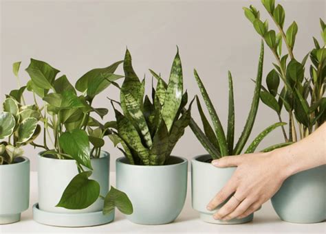 Image result for Summer Subscription Box