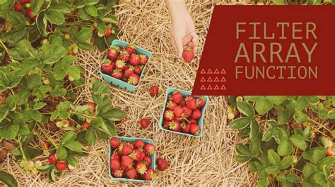 Image result for Excel Function to Filter Data