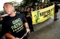 Greenpeace slaps NFA with Notice of Violation over failure to act on ...