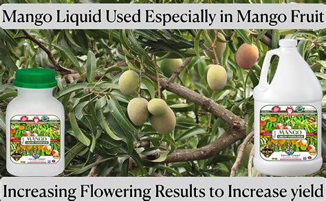 Sansar Green® Mango Flower Fertilizer for getting Maximizing Flower in ...