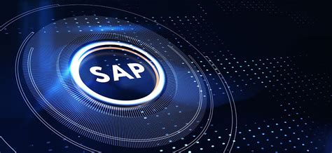 What Is SAP Program 的图像结果