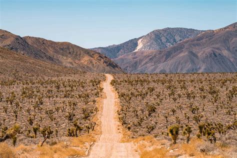 Hidden Desert Playas Of California's Death Valley | TouristSecrets