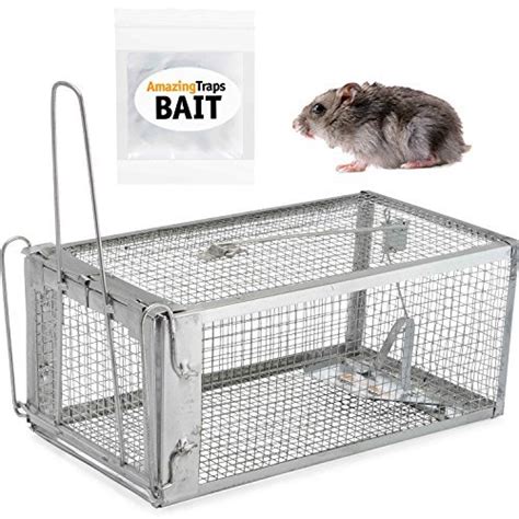 Buy Havahart 1025 Live Animal 2-Door Squirrel, Chipmunk, Rat, and Small ...
