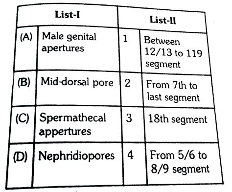 Arrange the external opening and their segmental number of pheretima-